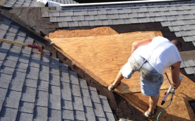 Good Roof Repair vs Great Roof Replacement