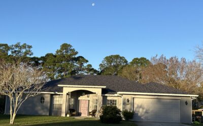 Bold and Beautiful Midnight Plum Shingle