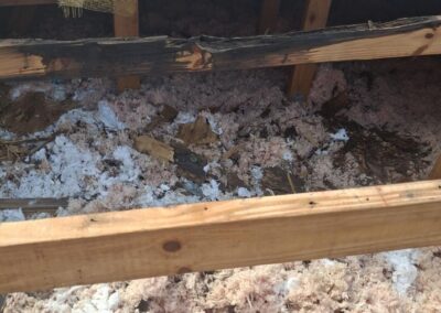 Commercial Roof With 3 Rotten Entryways