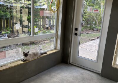 Cat Waiting For Us To Get Done