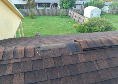 Missing Shingles