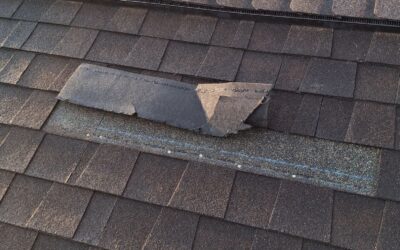 7 Good Signs That My Roof Needs A New Roof
