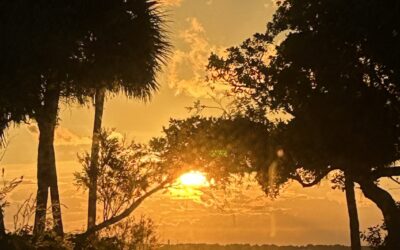 Florida Roofing and Renovations Is Awesome