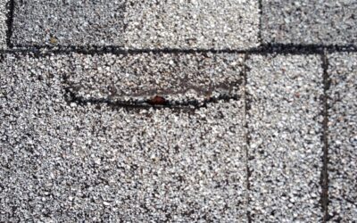 4 Simple Shingle Roof Repairs You Can Do Now