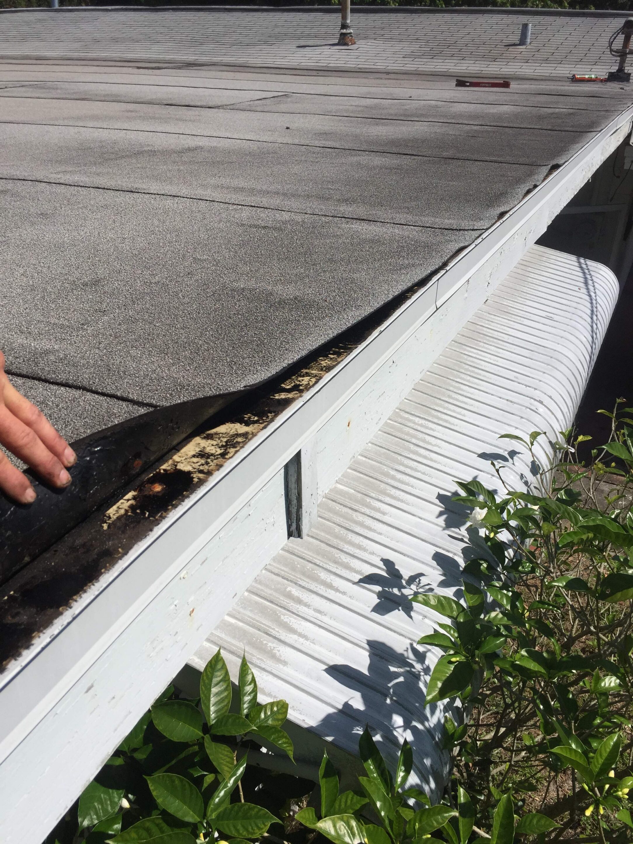 flat roof leaks