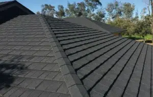 metal roofing type 