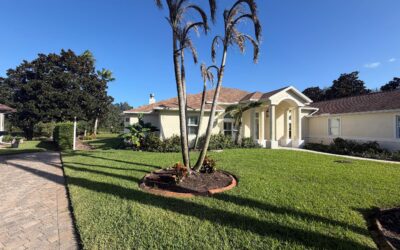 Why Is My Roof Leaking? The Most Common Causes in Florida