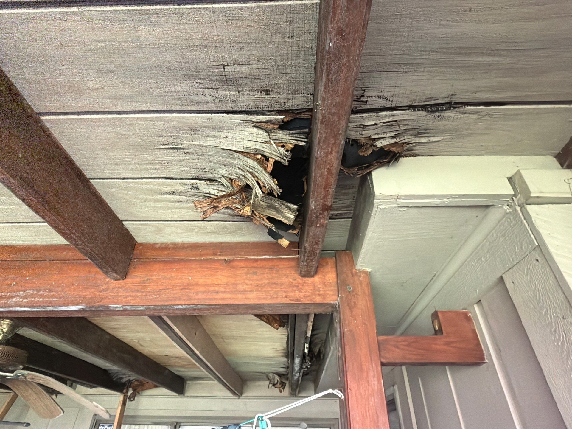years of neglect